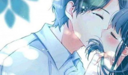 情动漫,探寻动漫世界的奇幻旅程